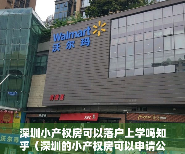 深圳小产权房可以落户上学吗知乎（深圳的小产权房可以申请公立学位吗？）