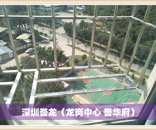 深圳誉龙（龙岗中心 誉华府）