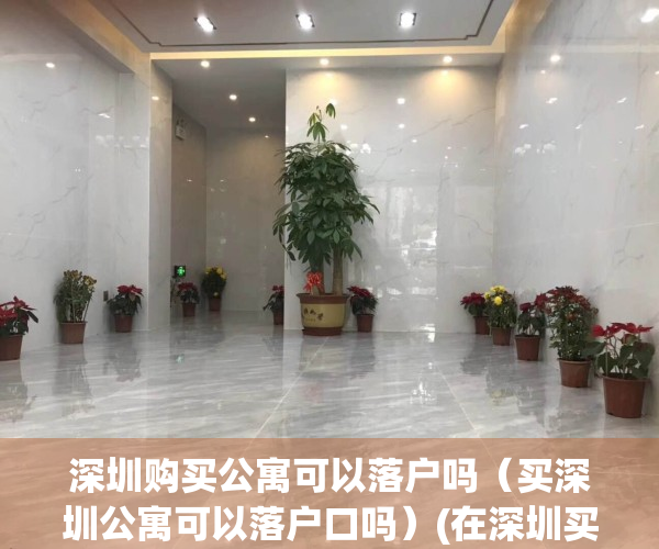 深圳购买公寓可以落户吗（买深圳公寓可以落户口吗）(在深圳买公寓可以落户深圳吗)