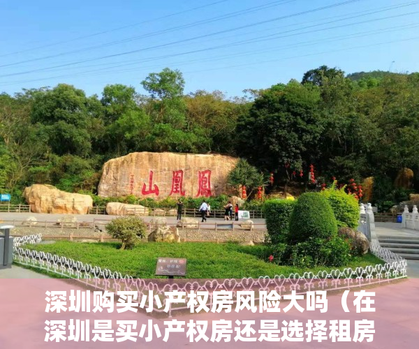 深圳购买小产权房风险大吗（在深圳是买小产权房还是选择租房好一些？）