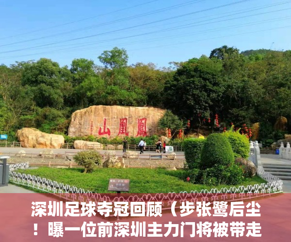 深圳足球夺冠回顾（步张鹭后尘！曝一位前深圳主力门将被带走，或涉嫌其他假球案）