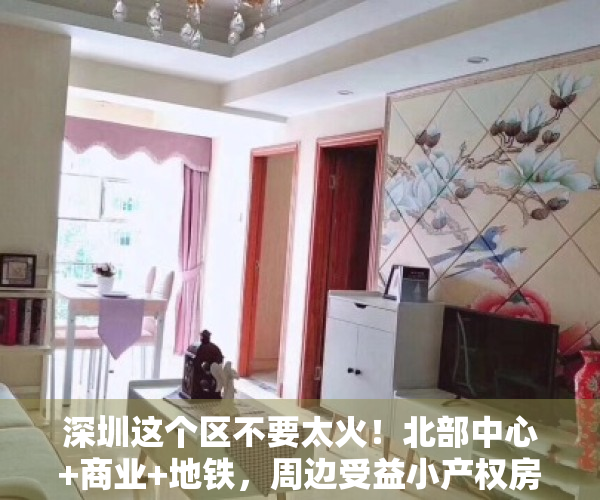 深圳这个区不要太火！北部中心+商业+地铁，周边受益小产权房一览