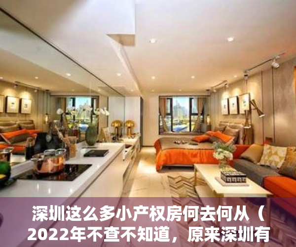 深圳这么多小产权房何去何从（2022年不查不知道，原来深圳有那么多小产权房）