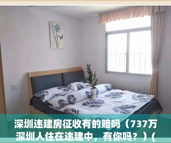深圳违建房征收有的赔吗（737万深圳人住在违建中，有你吗？）(深圳房子违建怎么举报)