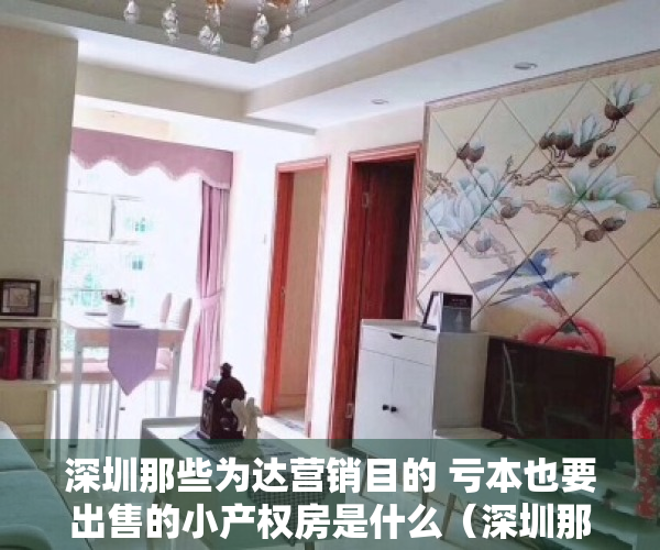 深圳那些为达营销目的 亏本也要出售的小产权房是什么（深圳那些为达营销目的 亏本也要出售的小产权房，你知道哪些呢）