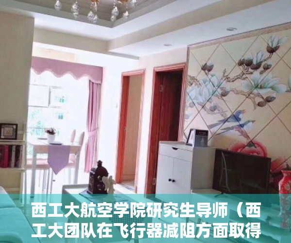 西工大航空学院研究生导师（西工大团队在飞行器减阻方面取得突破性进展）