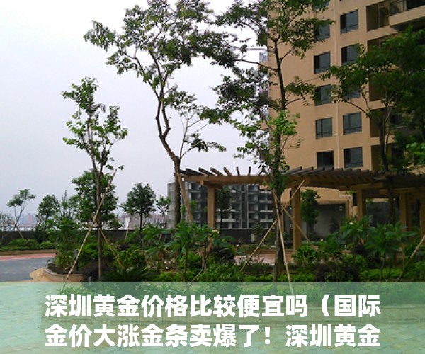 深圳黄金价格比较便宜吗（国际金价大涨金条卖爆了！深圳黄金市场客流激增！）