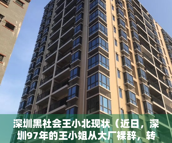 深圳黑社会王小北现状（近日，深圳97年的王小姐从大厂裸辞，转行创业卖盒饭引发热议……）