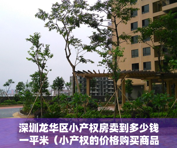 深圳龙华区小产权房卖到多少钱一平米（小产权的价格购买商品房！深圳龙华独立红本公寓单价18万起《裕龙城》​龙华中心区独立红本房！有房产证！一房二房三房全部精装修交房）