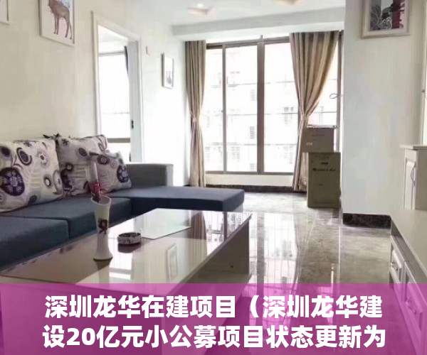 深圳龙华在建项目（深圳龙华建设20亿元小公募项目状态更新为“已反馈”）