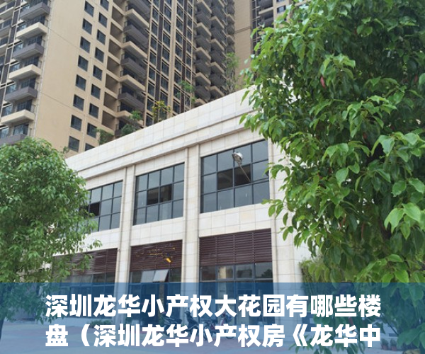 深圳龙华小产权大花园有哪些楼盘（深圳龙华小产权房《龙华中心城》龙华模范村 全城最低价自带天然气）