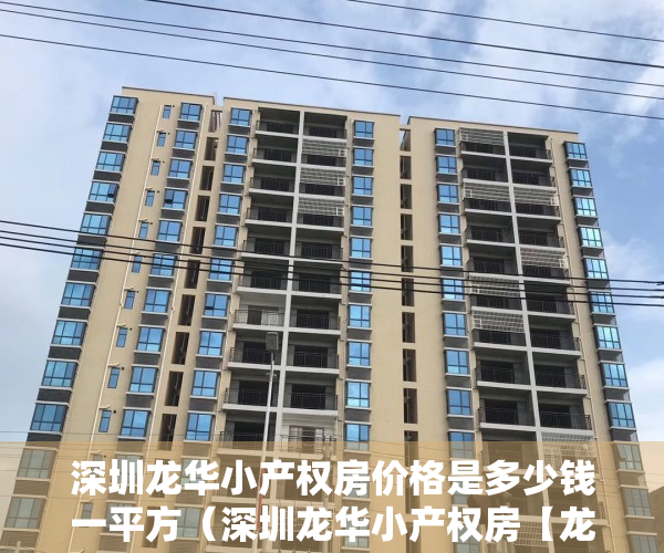 深圳龙华小产权房价格是多少钱一平方（深圳龙华小产权房【龙鑫苑】龙华地铁口200米 带精装556万套起）