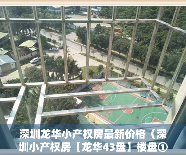 深圳龙华小产权房最新价格（深圳小产权房【龙华43盘】楼盘①：二栋大世界，总价34万套起；楼盘②）