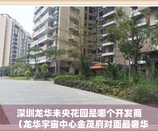 深圳龙华未央花园是哪个开发商（龙华宇宙中心金茂府对面最奢华小产权恒裕上麟府（未央花园））