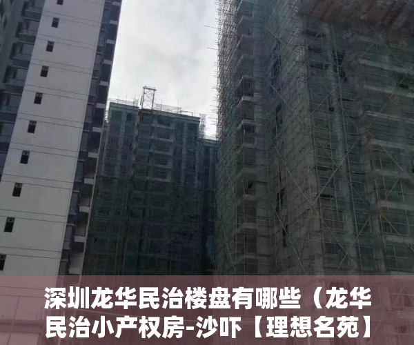 深圳龙华民治楼盘有哪些（龙华民治小产权房-沙吓【理想名苑】唯一原始户型 多套精装特价房）