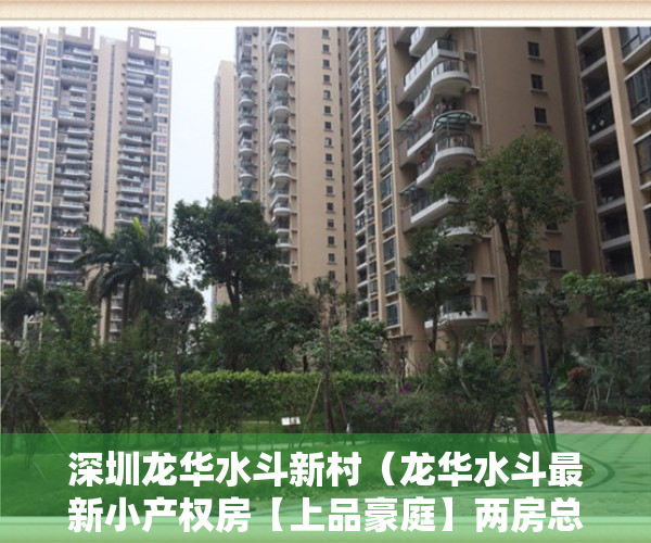 深圳龙华水斗新村（龙华水斗最新小产权房【上品豪庭】两房总价728万套起 带停车位）