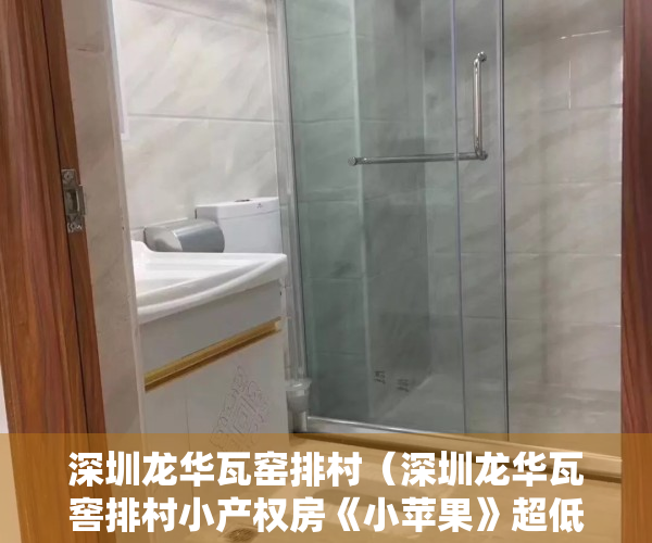 深圳龙华瓦窑排村（深圳龙华瓦窖排村小产权房《小苹果》超低价户型方正送家私）