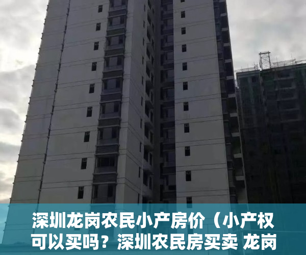 深圳龙岗农民小产房价（小产权可以买吗？深圳农民房买卖 龙岗南联小产权双盘开盘-南联家园 南联壹号 首付16万起 停车场免费停车可落户带公立学位集资房）