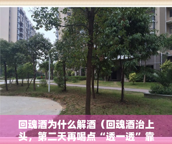 回魂酒为什么解酒（回魂酒治上头，第二天再喝点“透一透”靠谱么？有2点需切记）