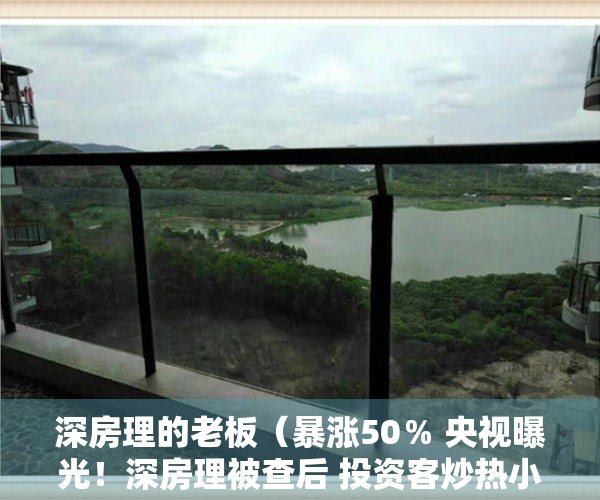 深房理的老板（暴涨50％ 央视曝光！深房理被查后 投资客炒热小产权和回迁房）