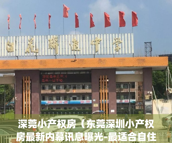 深莞小产权房（东莞深圳小产权房最新内幕讯息曝光-最适合自住小产权，长安最靚花园小区统建楼，沙头(湖山庄园)带两层地下停车场 天然气管道到户定位）
