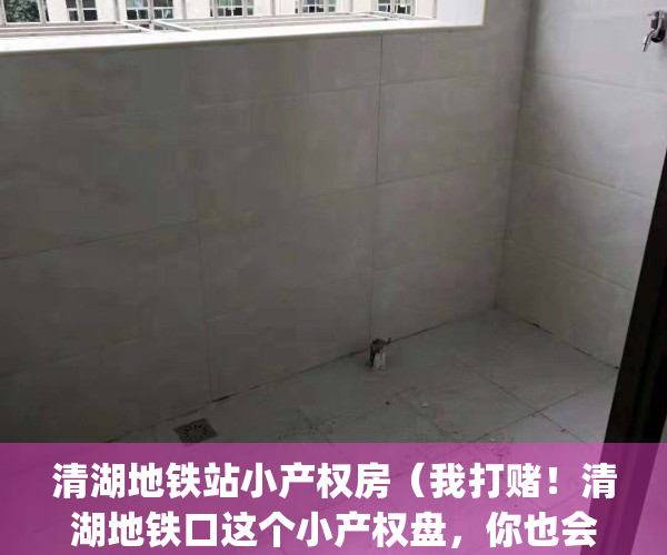 清湖地铁站小产权房（我打赌！清湖地铁口这个小产权盘，你也会心动）(清湖地铁站附近有便宜房租么)