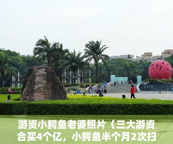 游资小鳄鱼老婆照片（三大游资合买4个亿，小鳄鱼半个月2次扫货，20CM的汤姆猫还能继续新高吗？）