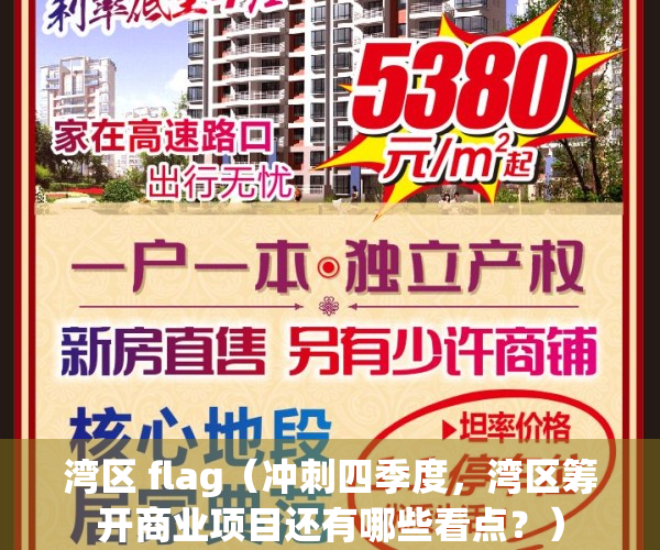 湾区 flag（冲刺四季度，湾区筹开商业项目还有哪些看点？）