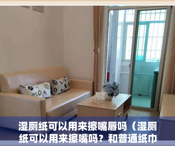 湿厕纸可以用来擦嘴唇吗（湿厕纸可以用来擦嘴吗？和普通纸巾有什么区别？一文读懂！）