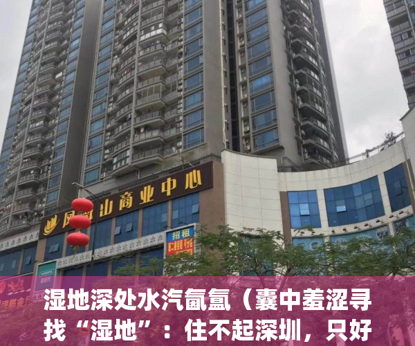 湿地深处水汽氤氲（囊中羞涩寻找“湿地”：住不起深圳，只好去“临深”）(在哪湿地深处)