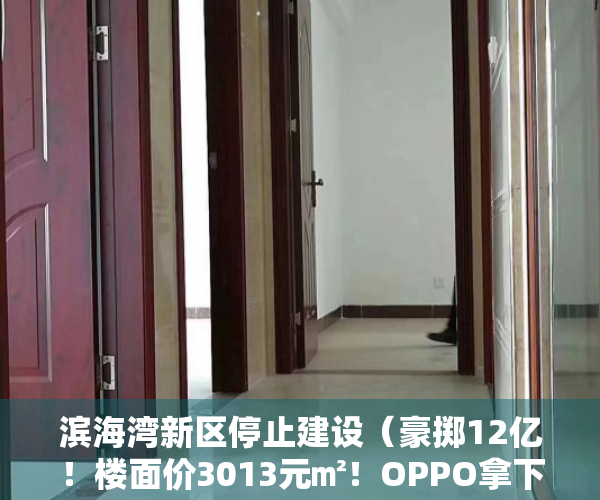 滨海湾新区停止建设（豪掷12亿！楼面价3013元㎡！OPPO拿下滨海湾超13万平商住地）