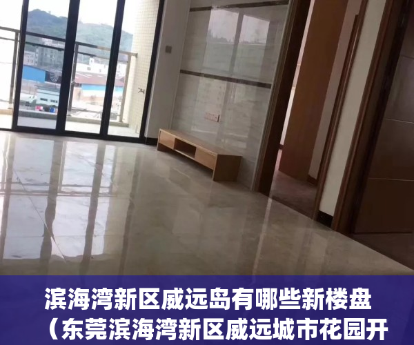 滨海湾新区威远岛有哪些新楼盘（东莞滨海湾新区威远城市花园开建）(东莞威远岛房价)