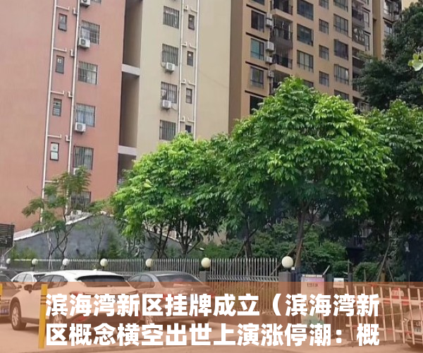 滨海湾新区挂牌成立（滨海湾新区概念横空出世上演涨停潮：概念股哪家强？）
