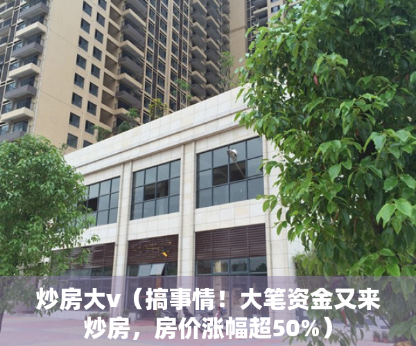 炒房大v（搞事情！大笔资金又来炒房，房价涨幅超50%）