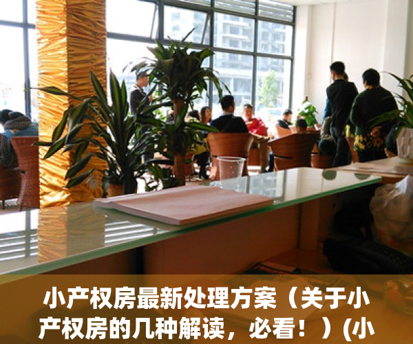 小产权房最新处理方案（关于小产权房的几种解读，必看！）(小产权房的处置方式及条件)