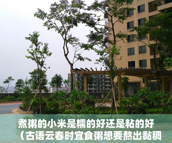 煮粥的小米是糯的好还是粘的好（古语云春时宜食粥想要熬出黏稠的小米粥可以？支付宝蚂蚁庄园2月20日答案）