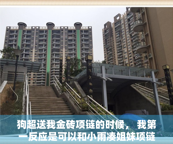 狗超送我金砖项链的时候， 我第一反应是可以和小雨凑姐妹项链了！