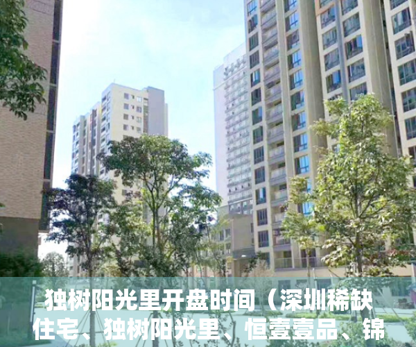 独树阳光里开盘时间（深圳稀缺住宅、独树阳光里、恒壹壹品、锦顺名居！）
