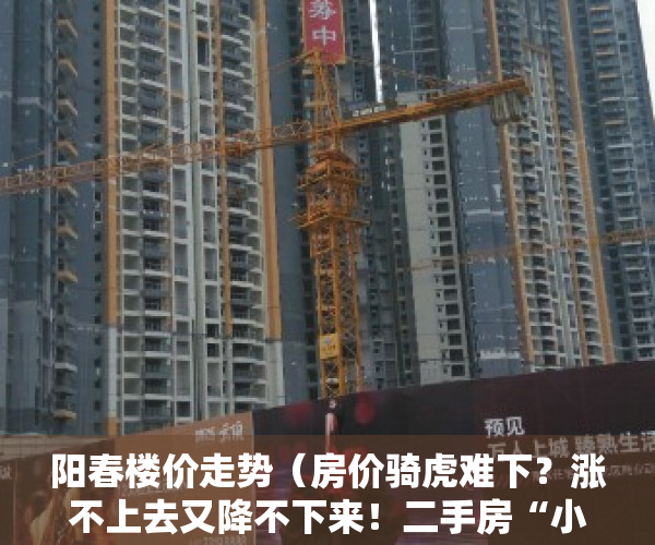 阳春楼价走势（房价骑虎难下？涨不上去又降不下来！二手房“小阳春”背后的真相）