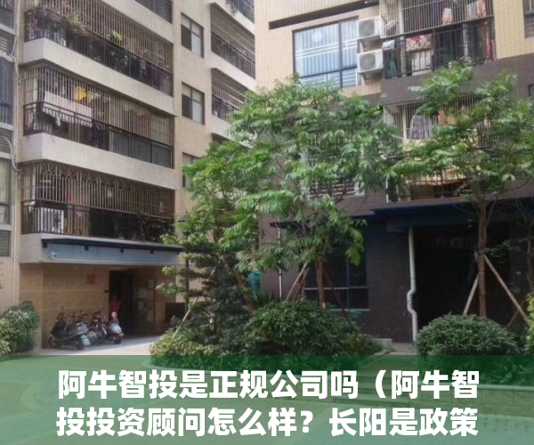 阿牛智投是正规公司吗（阿牛智投投资顾问怎么样？长阳是政策牛市么？）