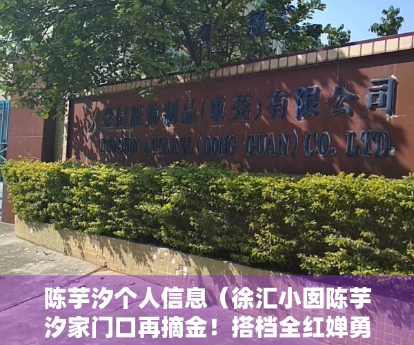 陈芋汐个人信息（徐汇小囡陈芋汐家门口再摘金！搭档全红婵勇夺双人10米台冠军）