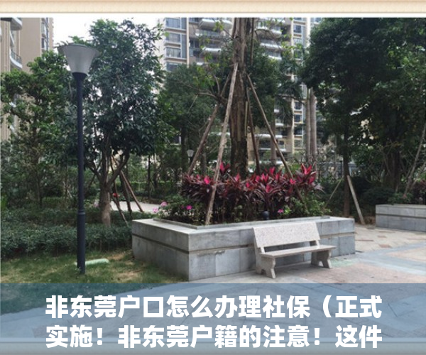 非东莞户口怎么办理社保（正式实施！非东莞户籍的注意！这件事抓紧办！）