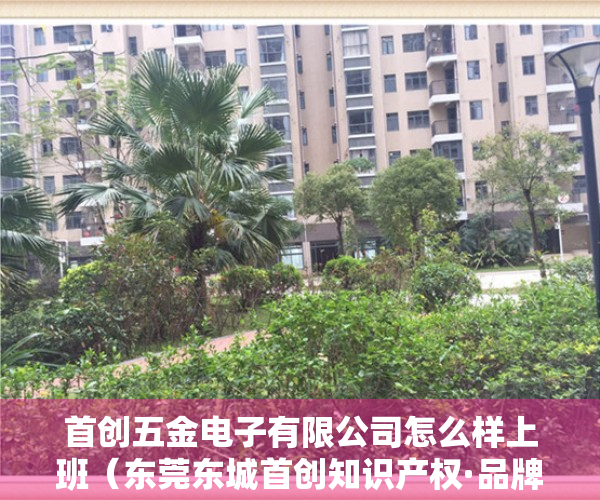 首创五金电子有限公司怎么样上班（东莞东城首创知识产权·品牌服务工作站）
