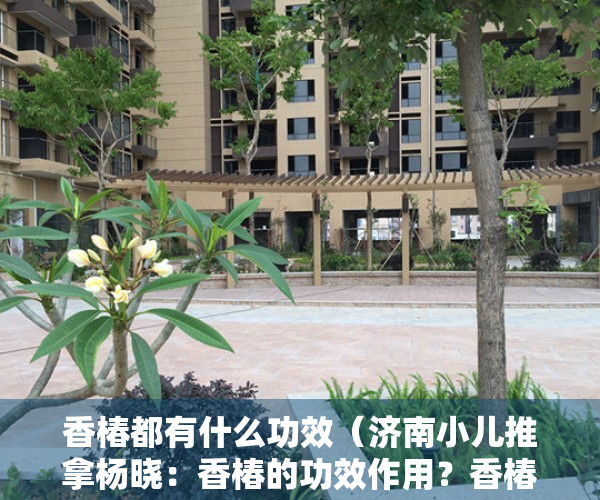 香椿都有什么功效（济南小儿推拿杨晓：香椿的功效作用？香椿应该怎么吃？有哪些禁忌？）