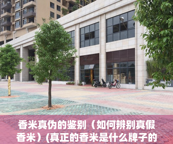 香米真伪的鉴别（如何辨别真假香米）(真正的香米是什么牌子的)