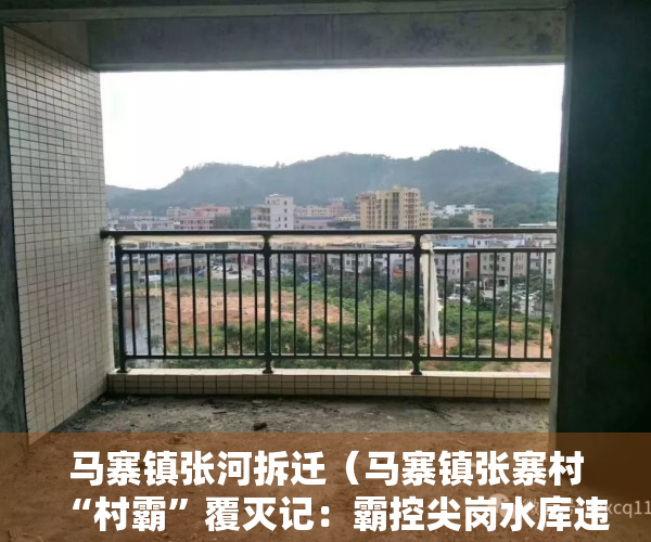 马寨镇张河拆迁（马寨镇张寨村“村霸”覆灭记：霸控尖岗水库违法开发小产权房）