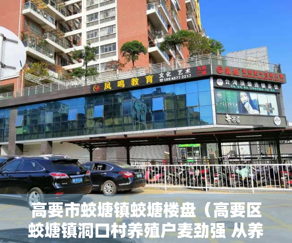 高要市蛟塘镇蛟塘楼盘（高要区蛟塘镇洞口村养殖户麦劲强 从养殖“小白”逆袭成“鸡司令”）
