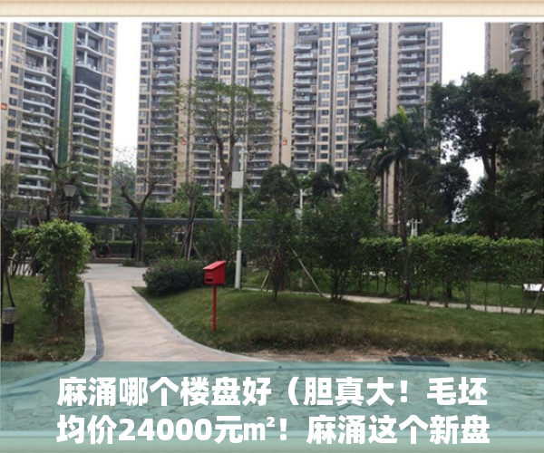 麻涌哪个楼盘好（胆真大！毛坯均价24000元㎡！麻涌这个新盘售价不是一般的贵！）