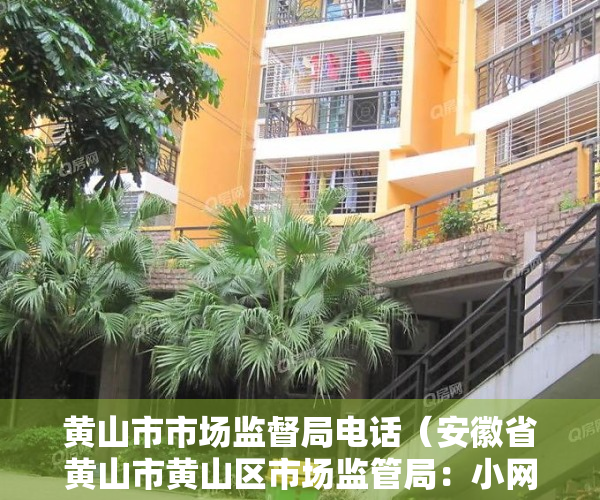 黄山市市场监督局电话（安徽省黄山市黄山区市场监管局：小网格里的大文章）