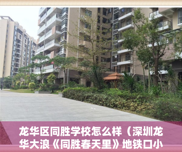 龙华区同胜学校怎么样（深圳龙华大浪《同胜春天里》地铁口小产权房 配套齐全超低价）